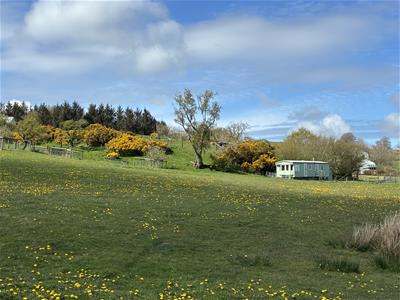 Picture 32